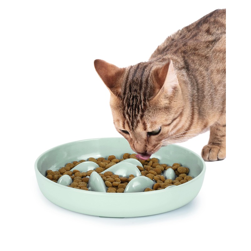 PETTOM Cat Slow Feeder Bowl, Fun Cat Puzzle Feeder Bowl Anti Vomiting, No-Spill Slow Feeder Cat Food Bowl Eating Interactive Anti Gulping Slow Feeder Dog Bowl for Puppy Kitte Green