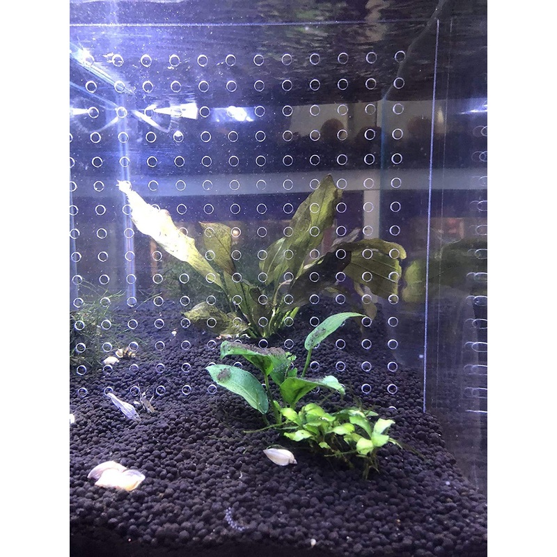5.5 Gallon 7.4X 9.2 Gallon Tank Acrylic Divider Aquarium Isolation Board with Suction Cups 5.5 GALLON