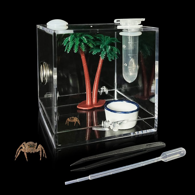 Jumping Spider Enclosure, Acrylic Snail Spider Terrarium Insect Breeding Box with Tongs Bowls Dropper for Snail Insects Gecko Scorpion Sling Mantis Frog Isopods Hermit Crabs (Coconut Tree) Coconut tree