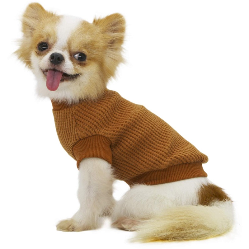 LOPHIPETS Lightweight Dog Sweaters for Puppy Small Dogs Puppy Chihuahua Yorkie Clothes-Yellow/M Medium for 4.5-6.5 lbs Yellow