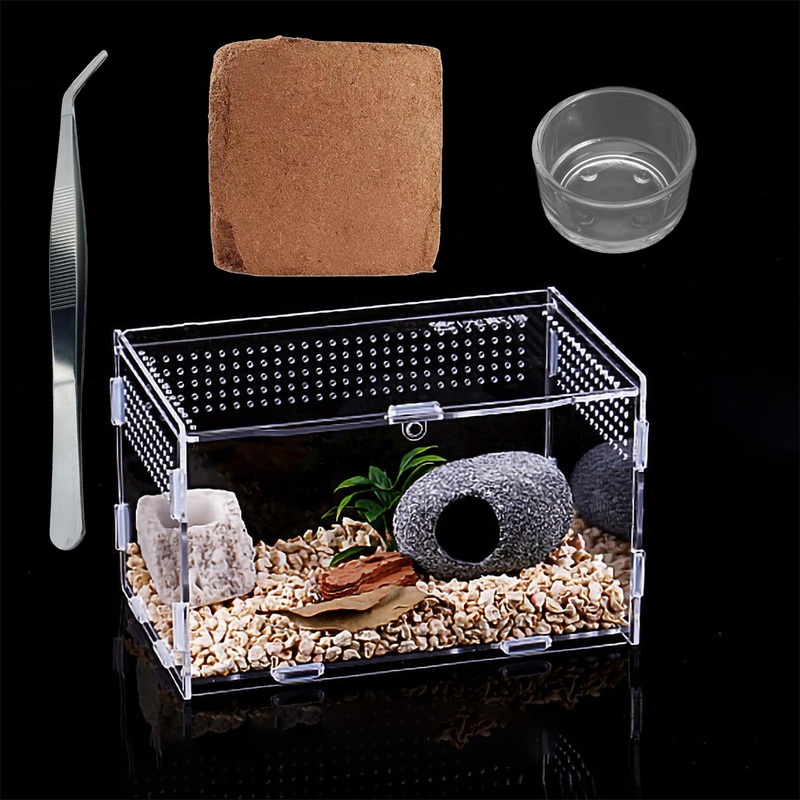 Micro Habitat Glass Container Reptile Terrarium,Amphibian Tank Starter Kit4pc Set Ideal for Snails, Beetles, Spiders, Chameleons, Geckos, Scorpions(8 * 4.7 * 4.7 Inches) 8*4.7*4.7 Inches