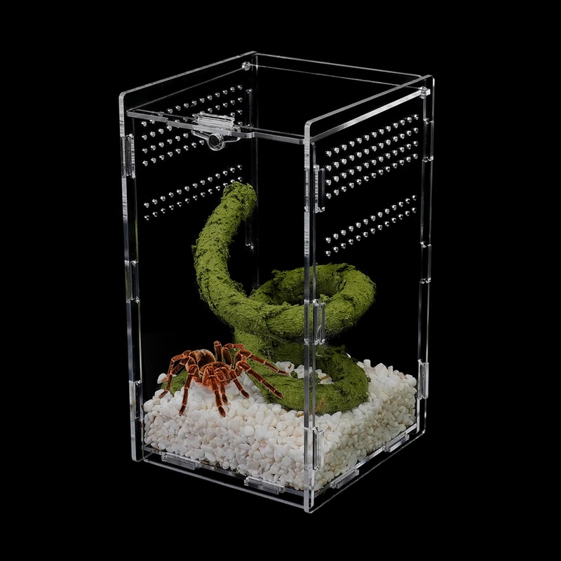 Micro Habitat Terrarium Enclosure, Jumping Spider Enclosure with Locking Latch for Small Tree Dwelling Reptiles,Tarantula, Amphibians, Spiders,Invertebrates (4x4x8 inch) 4x4x8 inch