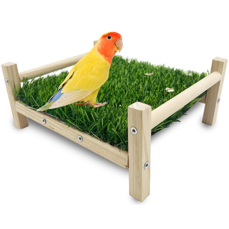 Bird Foraging Bed, Parrot Hammock Bed, Parrot Grass Perch Bed, Bird Perch Conure Platform Grass Forage Toy for Parakeet, Parrot, Cockatiel, Lovebird, Budgie