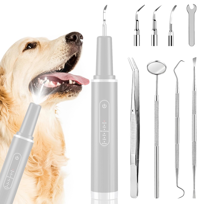 Dog Tartar Remover for Teeth, Dog Teeth Cleaning, Dog Tooth Brushing Kit, Plaque Remover for Teeth, Teeth Cleaning Kit, Safe for Dog and Cat (White, 8.07 in) White 1 Count (Pack of 1)