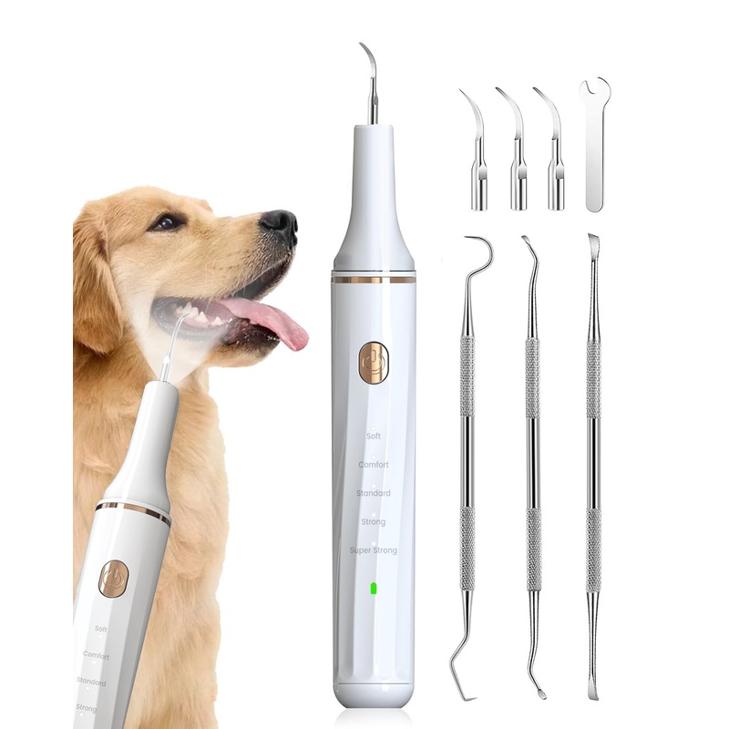 Hansaplast Plaque Remover for Teeth, Dog Teeth Cleaning, Dental Tools to Remove Tartar and Stains, Safe for Dogs & Cats, with Led Light & 5 Adjustable Modes (A-White) (A-White) A-White