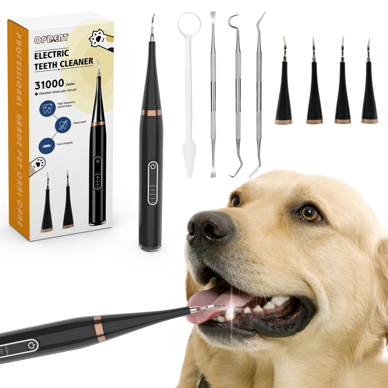 Plaque Remover for Teeth – Electric Toothbrush for Dogs Pet Brush Set,electric five modes + 4 cleaning head, effective care of teeth, pet must have, help dog oral health. (White, Large) White 1 Count (Pack of 1)