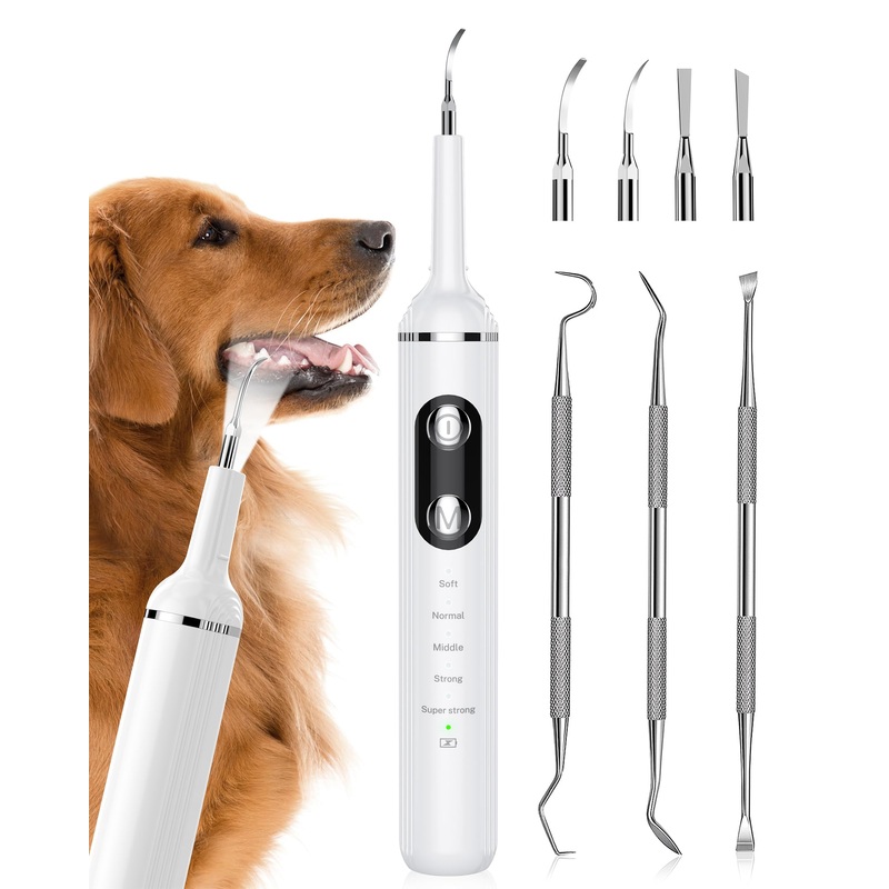 Plaque Remover for Teeth, Pet Tooth Brushing Kit, Dental Tools to Remove Plaque and Tartar, Safe for Dog and Cat, with LED Light, White