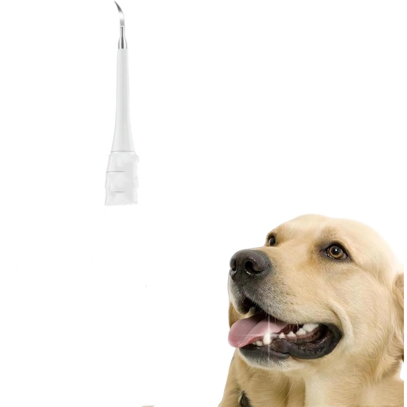 Safe for Dog and Cat, (White)