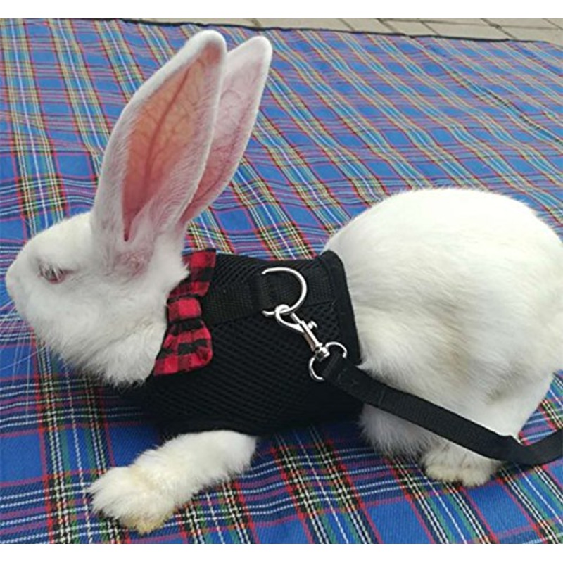 Bunny Kitten Harness No Pull Cat Leash Stylish Vest Harness for Small Animal Adjustable Soft Breathable Walking Harness Set BLACK Medium