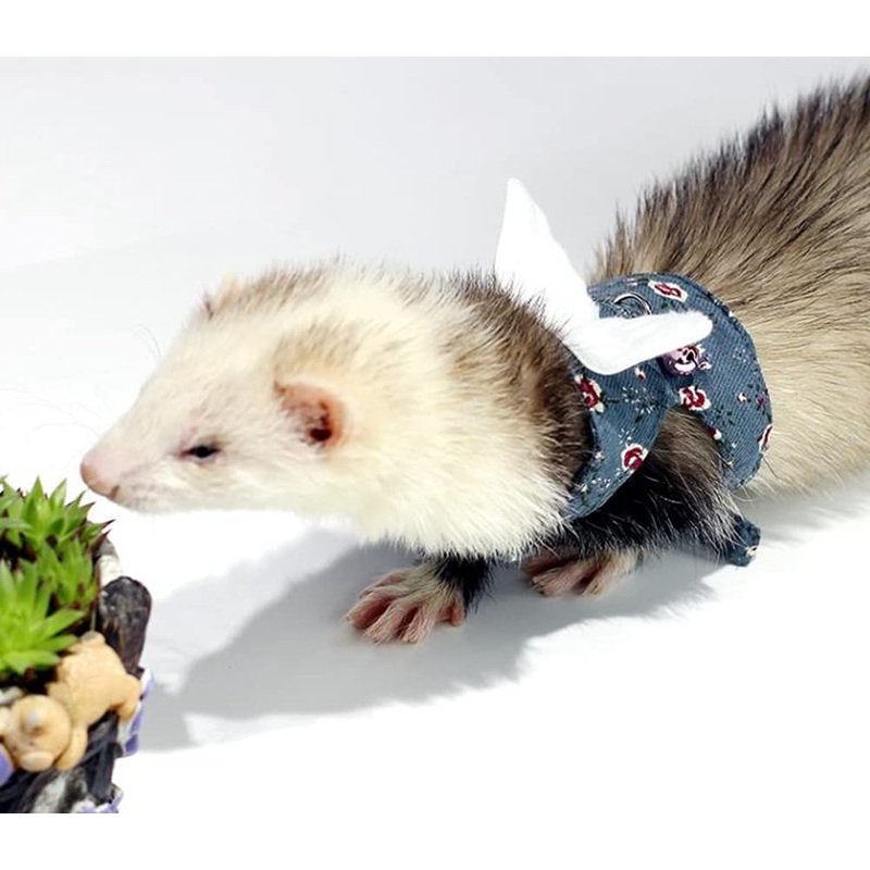 HAICHEN TEC Ferret Harness and Leash – Soft Mesh Small Pet Harness with Wings and Safe Bell, No Pull Comfort Padded Vest for Ferret, Guinea Pigs, Chinchilla and Similar Small Animals Blue