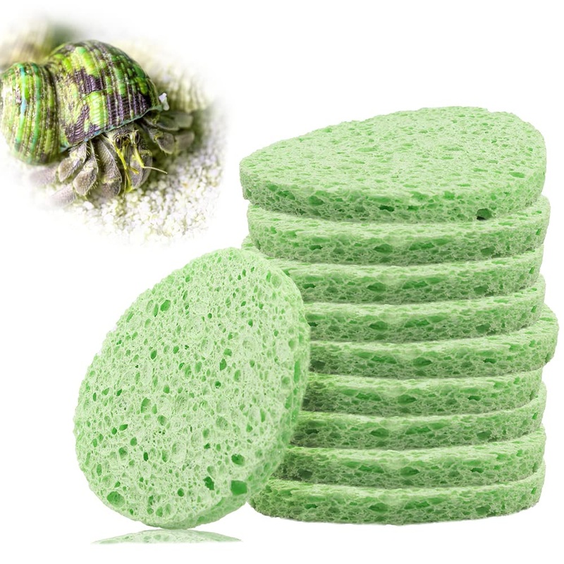 kcrygogo Hermit Crab Green Sponge Hermit Crab Accessories for Maintaining Hermit Crab Tank Humidity Supplies(10pcs)