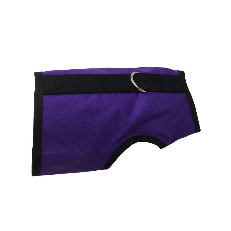 Kitty Holster – S/M Purple