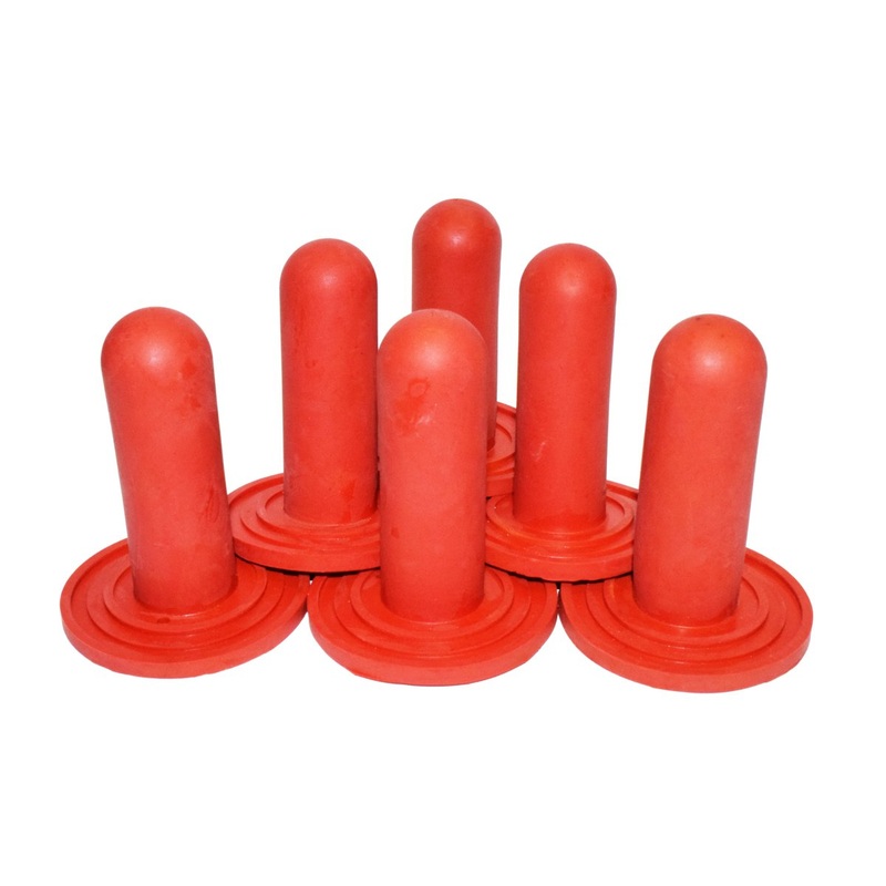 Lixit Farm Baby Replacement Nipples 2 Quart Pack of 6