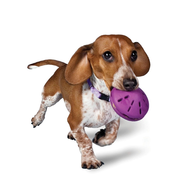 PetSafe Busy Buddy Twist ‘n Treat, Treat Dispensing Dog Toy, X-Small, Small, Medium and Large Sizes 1