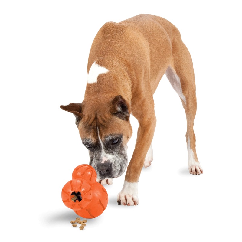 PetSafe Large Barnacle