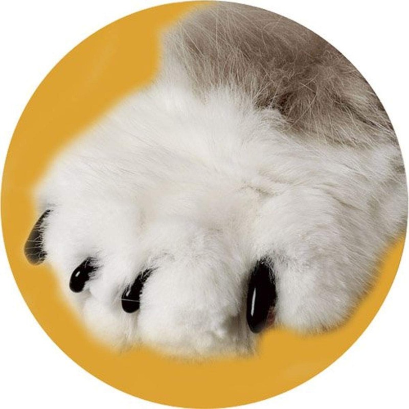 Soft Claws Dog and Cat Nail Caps Take Home Kit, X-Large, Black