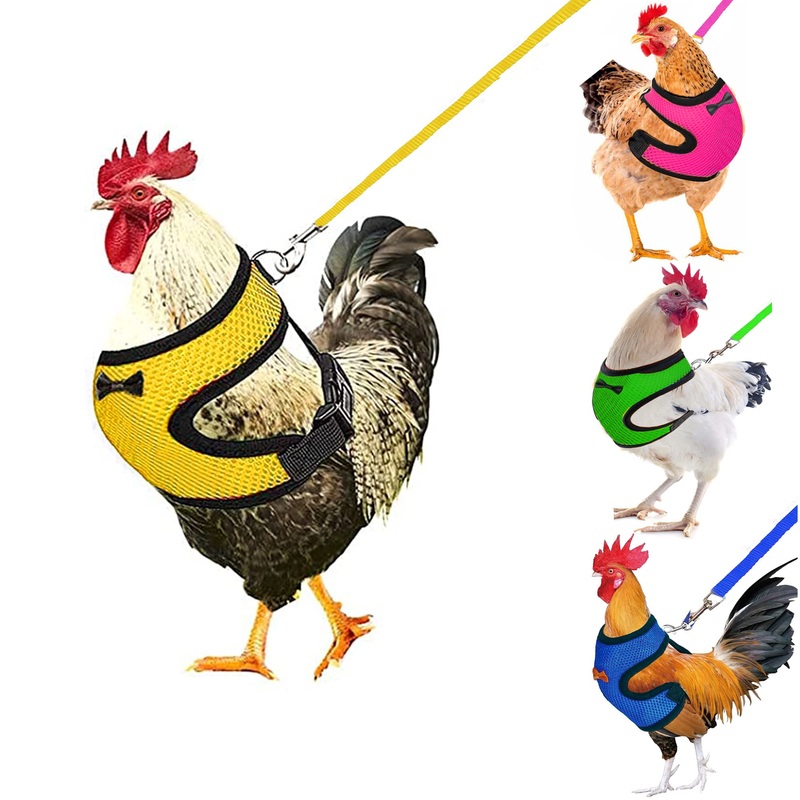 4Pcs Chicken Harness and Leash Set with Adjustable Upgrade and Improvement Breathable Comfortable Suitable for 2-9.5 Ib Chicken, Duck, Goose As Gifts for Festival.Yellow Blue Green Pink M