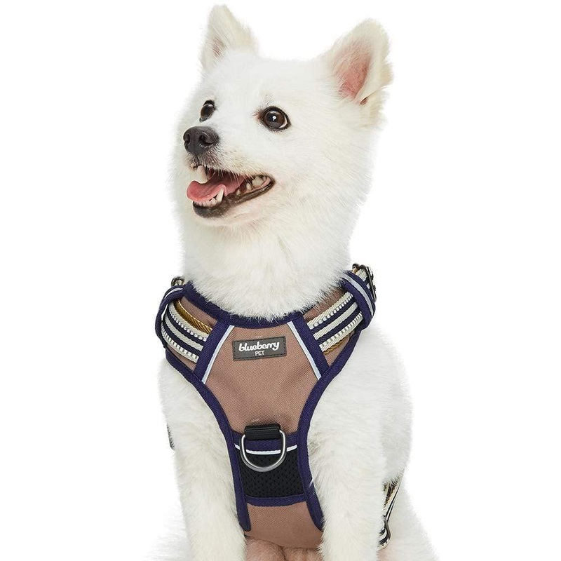 Blueberry Pet 10+ Colors Reflective Padded Dog Harnesses, 3M Reflective Options Available Harness Vest – Small (Pack of 1) Olive and Blue-gray