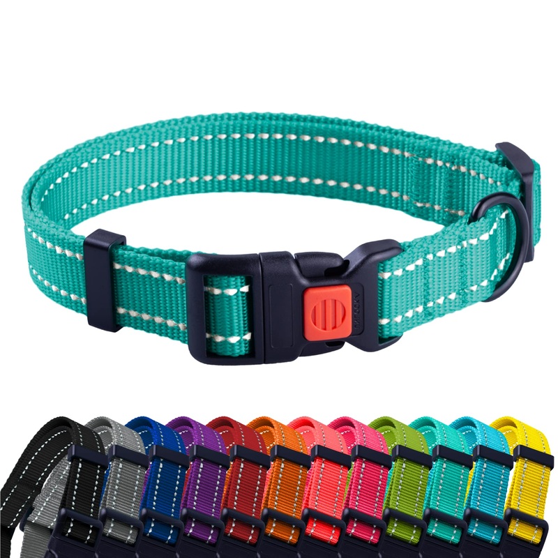 CollarDirect Reflective Dog Collar for a Small, Medium, Large Dog or Puppy with a Quick Release Buckle – Boy and Girl – 48 Options Nylon Suitable for Swimming 14-18 Inch Mint Green