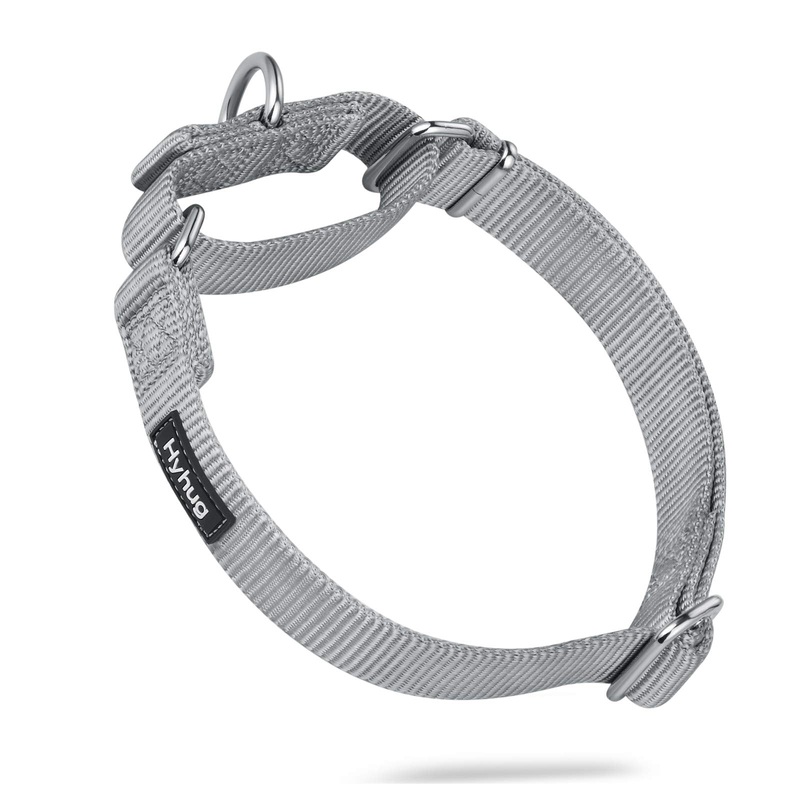 Hyhug Pets Premium Upgraded Heavy Duty Nylon Anti-Escape Martingale Collar for Boy and Girl Dogs Comfy and Safe – Professional Training, Daily Use Walking. Medium Sleet Gray