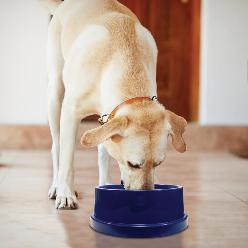 K&H PET PRODUCTS Coolin’ Pet Bowl 96 Ounces