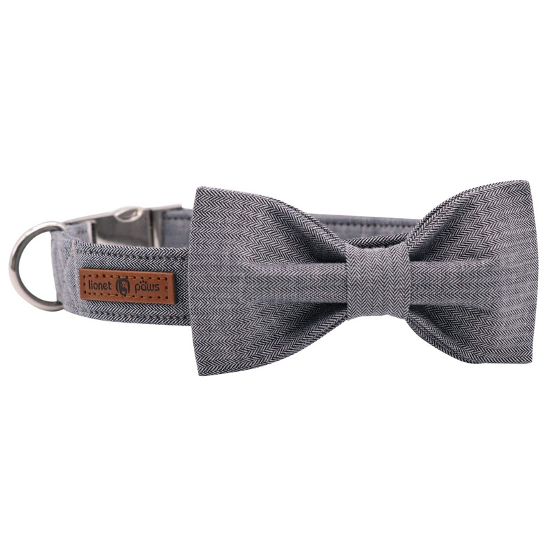 Lionet Paws Dog Collar with Bowtie, Durable Adjustable Comfortable Cute Collar for Dogs and Cats Boy or Girl Gifts Large (Pack of 1) Grey Lines