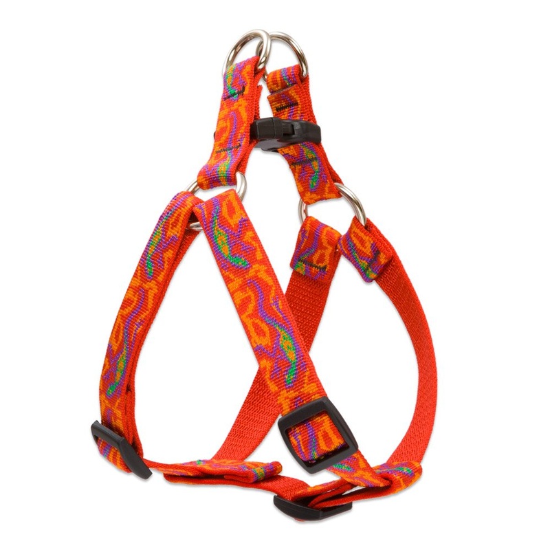 LupinePet Originals 3/4″ Go Go Gecko Step In Dog Harness 3/4″W; 20-30″ Girth