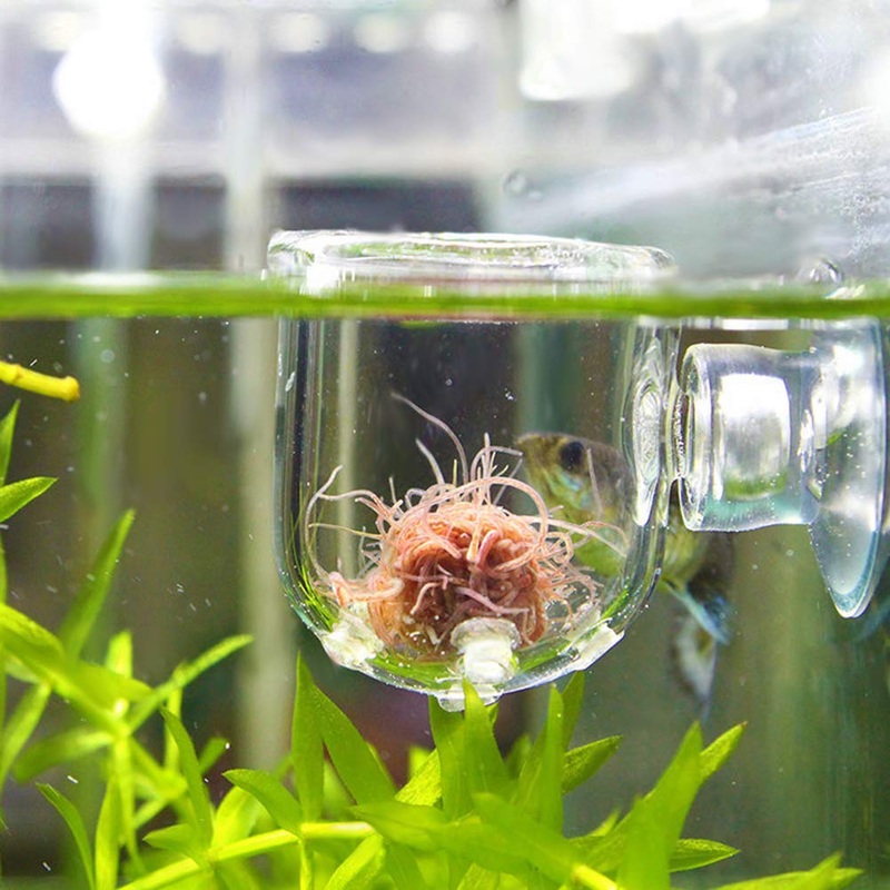 Pssopp Aquarium Red Worm Fish Feeder Transparent Suction Cup Fish Tank Feeding Cup Food Container for Feeding Shrimp Fish Glass Hole Cup