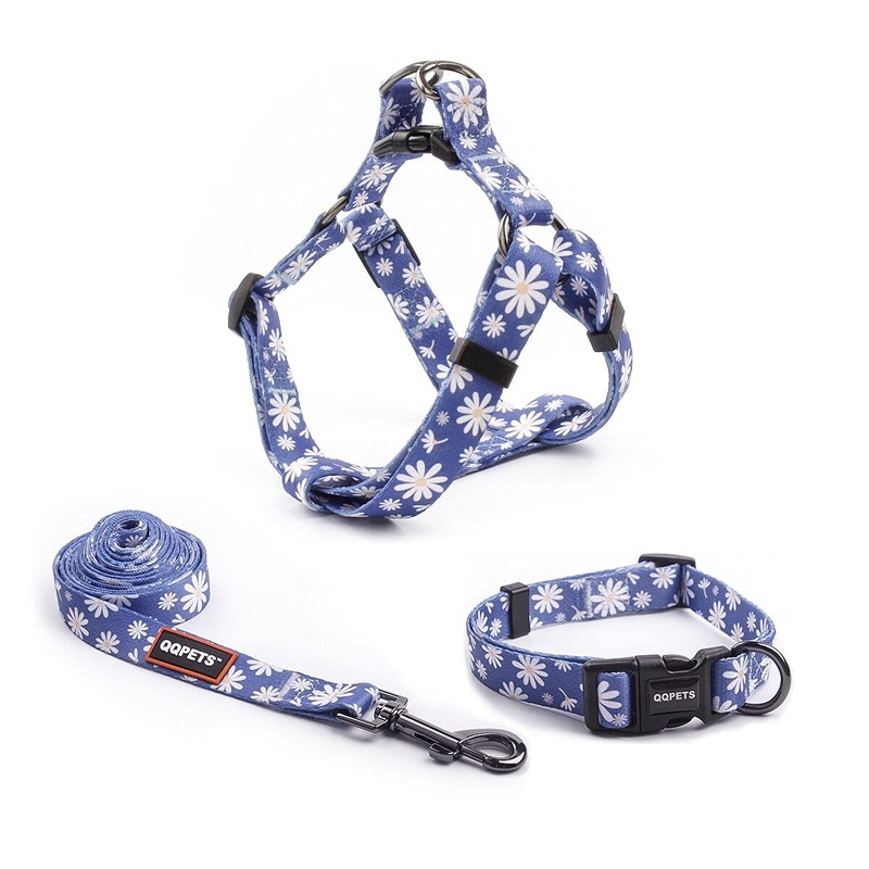 QQPETS Dog Harness Collar Leash – No Pull Pet Adjustable Back Clip Halter Basic Collar Heavy Duty 5FT Anti-Twist Leash for Extra Small Puppy Medium Large Breed Training Easy Walk Running Daisy S