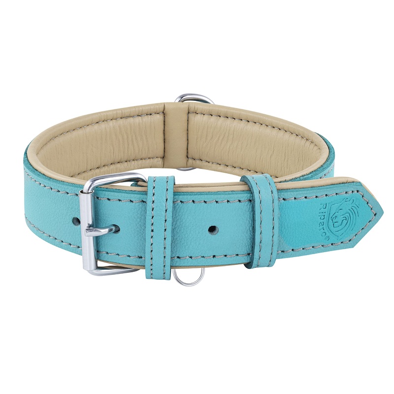 Riparo Genuine Leather Padded Dog Heavy Duty K-9 Adjustable Collar XL Aqua