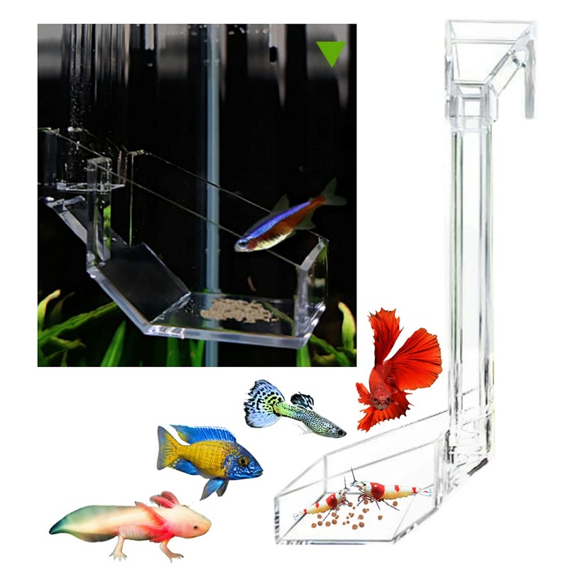 Shrimp Fish Feeding Dish, Aquarium -Sky Restaurant- Betta Feeding – Prevent Food Spilling, Fish Feeder, Also Easy to Clean Up The Food Left Over, African Feeding, Dwarf Frogs Feeding S