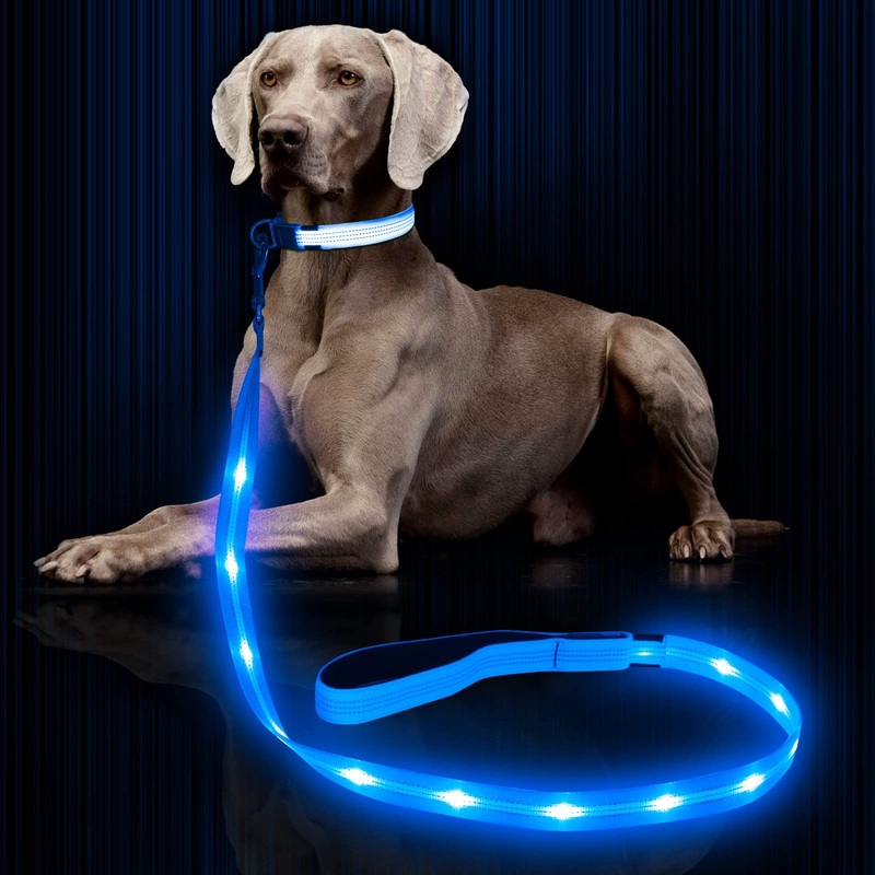 Weesiber Glowing Light Up LED Dog Leash – 4ft USB Rechargeable Flashing Nylon Leash for Small Medium Large Dogs, 3 Flash Modes Blue