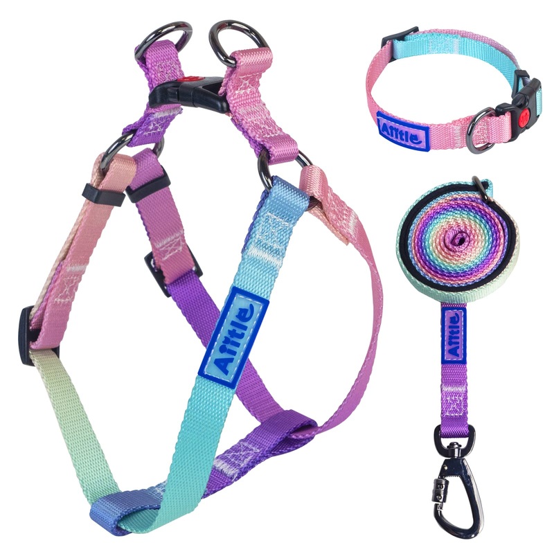 AIITLE Step in Dog Harness Collar Leash Set – Adjustable Heavy Duty No Pull Halter Harness – 360Swivel Carabiner Clip,Safety Buckle,Easy Fit – Training Walking Running for Small Medium Large Dogs L Pink