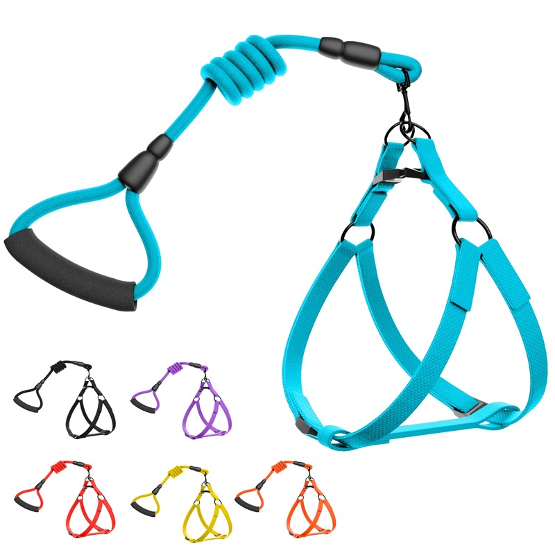 AmourPur_No Pull Dog Harness Adjustable Comfortable Easy to Control for Dog Walking Outdoor Activities Durable for Small Medium and Large Dogs Leash Included (Extra Large, Blue)