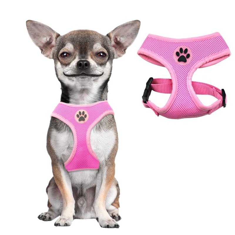 BINGPET Dog Vest Harness -Light Weight Breathable Sports Mesh – Pet Adjustable Harness Puppy Padded Harnesses Dog Vest Harness for Small Dogs X-Small (Neck Girth 11″) Pink