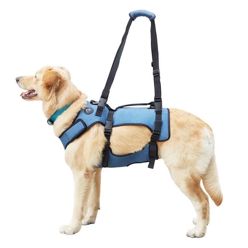 Coodeo Dog Lift Harness, Full Body Support & Recovery Sling, Pet Rehabilitation Lifts Vest Adjustable Breathable Straps for Old, Disabled, Joint Injuries, Arthritis, Paralysis Dogs Walk XLarge