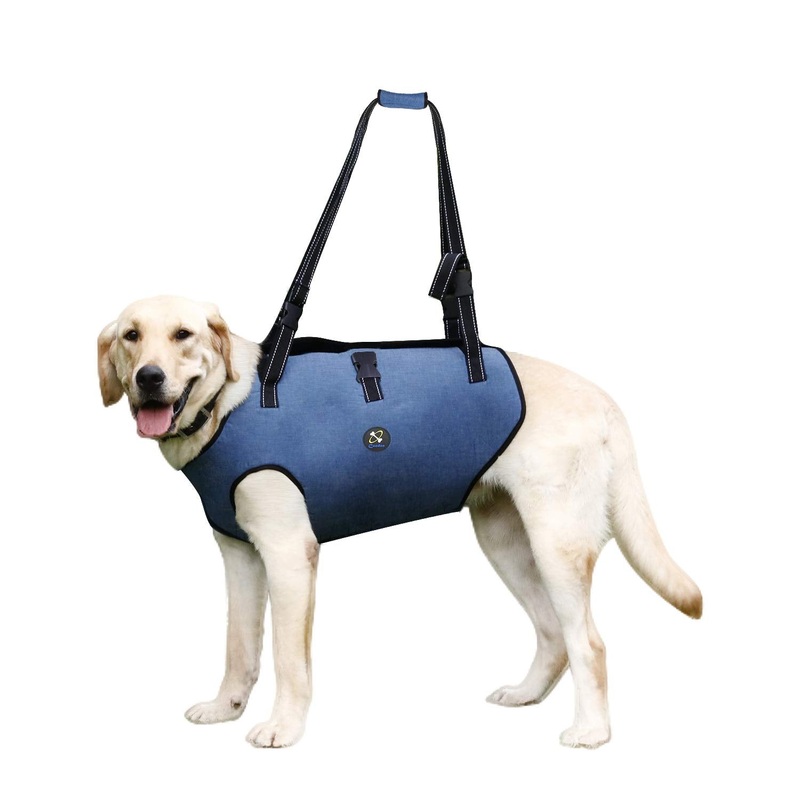 Coodeo Dog Lift Harness, Pet Support & Rehabilitation Sling Lift Adjustable Vest Breathable Straps for Old, Disabled, Joint Injuries, Arthritis, Loss of Stability Dogs Walk Blue Large