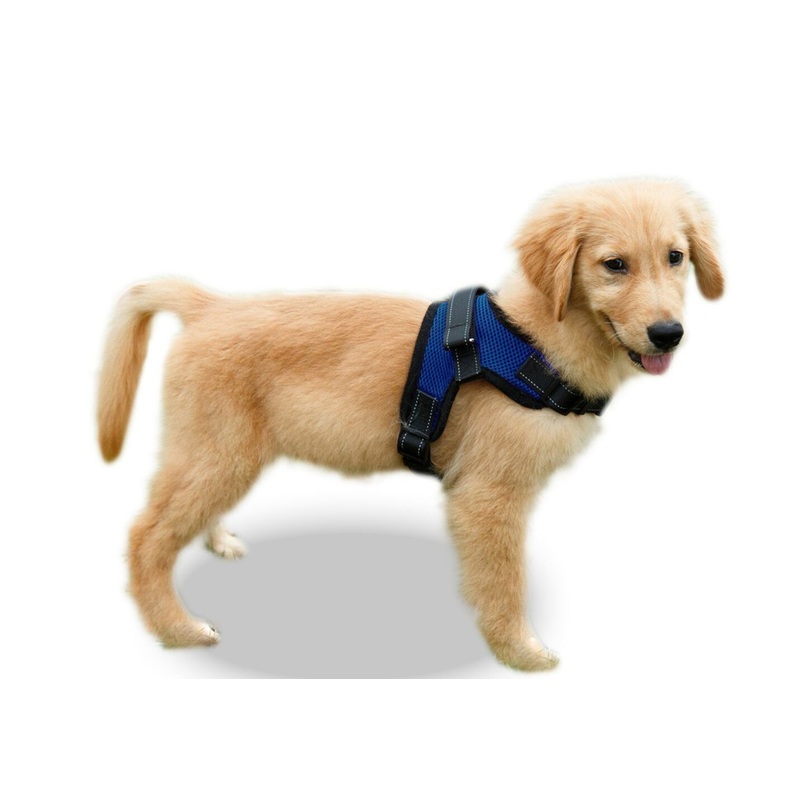 Copatchy No Pull Reflective Adjustable Dog Harness with Handle Small Blue