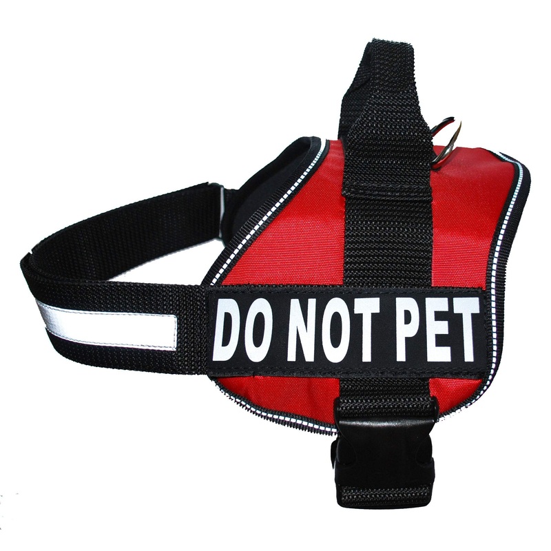 DO NOT PET Dog Vest Harness with Removable Patches and Reflective Trim. Comes with 2 DO NOT PET Reflective Removable Patches. Please Measure Dogs Girth Before Purchase Girth 24-31″ Red