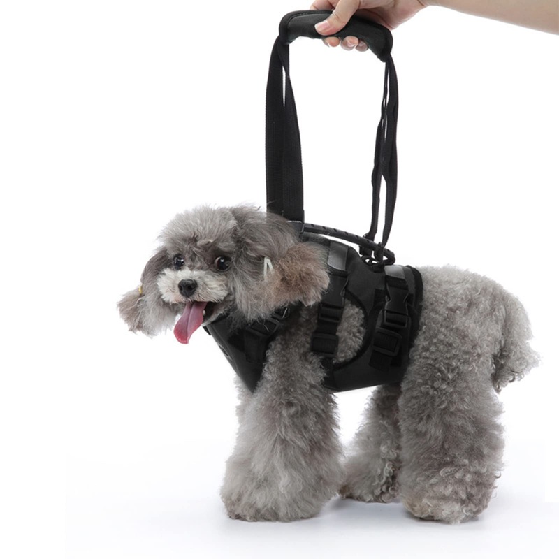ELEDUME Dog Lift Harness, Support & Recovery Sling with Adjustable Breathable Straps, No Pull Dog Harness with Handle, for Old, Disabled, Joint Injuries, Arthritis, Paralysis Dogs Walk S
