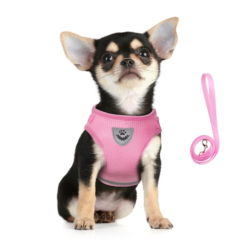 FEimaX Dog Harness and Leash Set, No Pull Soft Mesh Pet Harness for Walking Escape Proof Small Cat Step-in Adjustable Vest with Reflective Strip Fit Puppy Kitten Rabbit Pink XS