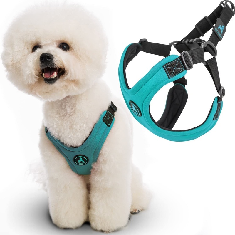 Gooby Escape Free Sport Harness – No Choke Step-in Patented Neoprene Small Dog Harness with Four-Point Adjustment – On The Go Dog Harness for Medium Dogs No Pull and Small Dogs for Everyday Use Small chest (12.5-18.75″) Turquoise