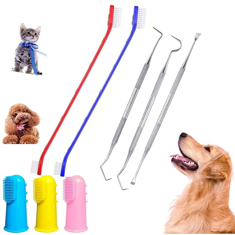 QeeHeng 8 Pack Dog Teeth Cleaning Tools Plaque Remover, Dog Tooth Brushing Kit Include 3 Different Stainless Steel Dog Tooth Scraper and 2 Dog Toothbrush and 3 Dog Finger Toothbrush 8 Piece Set