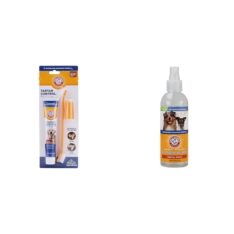 Arm & Hammer Dog Dental Bundle: 3-PieceTartar Control Kit in Beef Flavor (Toothpaste, Toothbrush, Fingerbrush) and Complete Care Dental Spray in Mint Flavor, 6 Fl Oz