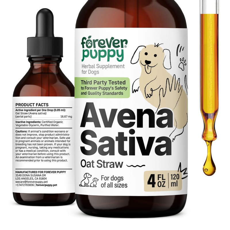 Avena Sativa Extract for Dogs – Oat Straw Herbal Drops for Calm & Relaxation Support – Pet Composure & Calming Care for Dogs w/Liquid Mood Support Supplement – 4 oz 4 fl oz