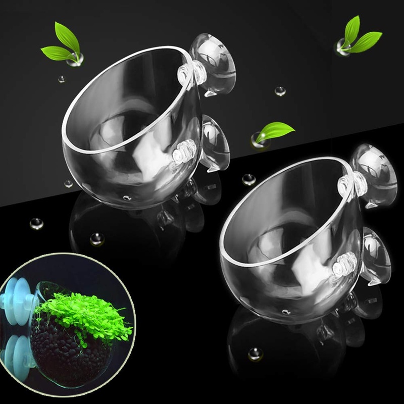 capetsma Crystal Glass Aquatic Plant Pot, Aquarium Aquatic Planter, Red Shrimp Live Plants Fish Tank Glass Holder with Suction Cups for Aquarium Aquascape Decoration 2 pack