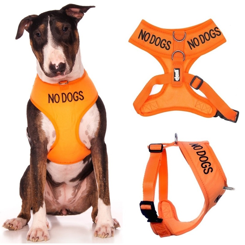 Dexil Limited NO Dogs (Not Good with Other Dogs) Orange Color Coded Non-Pull Front and Back D Ring Padded and Waterproof Vest Dog Harness Prevents Accidents by Warning Others of Your Dog in Advance Large Harness 22-32inch Chest/Girth
