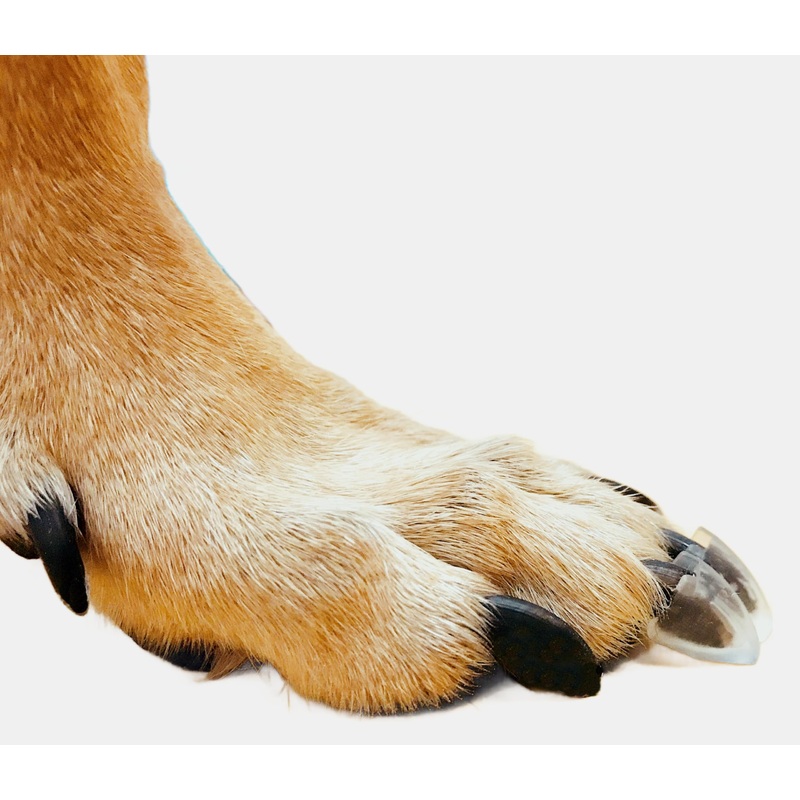 Dr. McHenry’s Dog Toe Treads Set of 24, Adhesive, Cleaning Brush, Senior Dog Traction Mobility Support, Small Kit- Weight: 8-16 lbs. Net Weight 1.6 oz. Small Kit- Weight: 8-16 lbs.