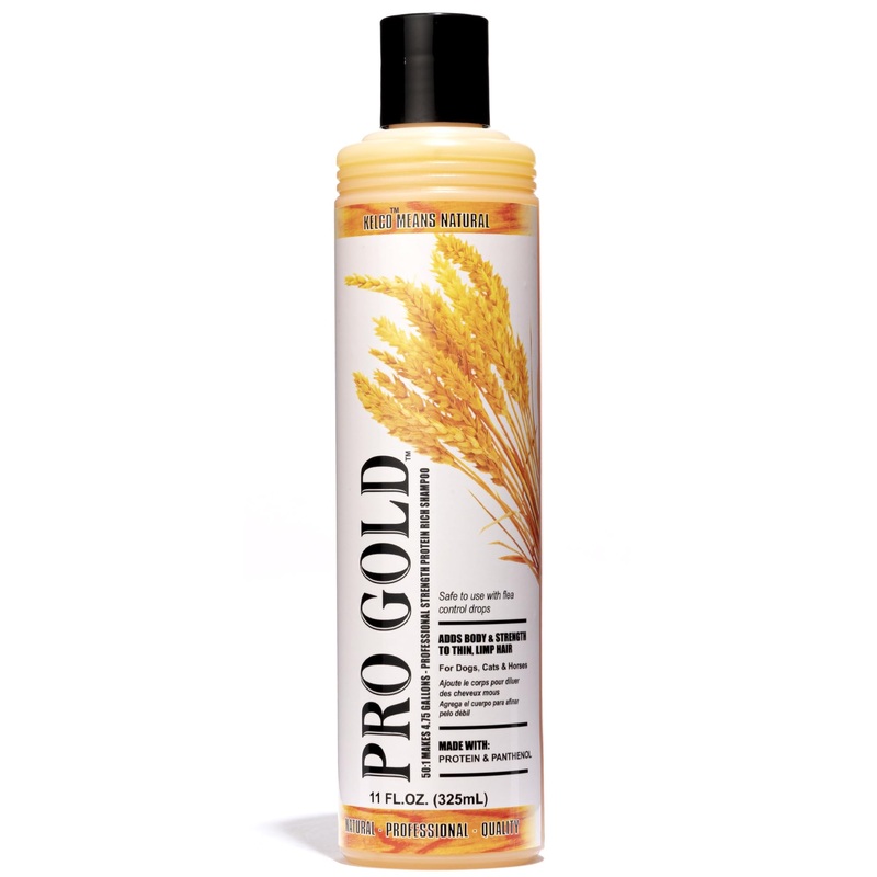 Kelco by Laube Color Enhancing Pet Shampoo – Pro Gold Shampoo for Yellow, Tan, Amber & Brown Coats – Natural, Hypoallergenic Formula for Grooming Dogs, Cats, and Pets (50:1 Concentrated, 11 fl oz) 11oz