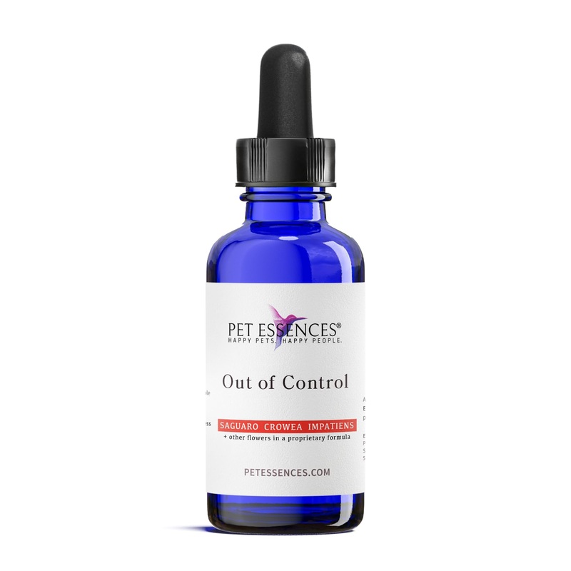 Out of Control Formula for Dogs, Cats, and Horses – 1oz, Safe & Natural Dog Calming Drops, Support for All Species, Breeds & Ages – Featuring Organic Crowea, Impatiens & Saguaro